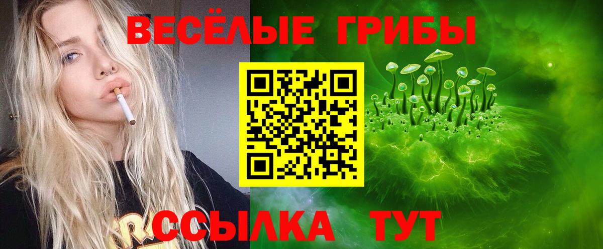 Галлюциногенные грибы Magic Shrooms  Вход с VPN  Апрелевка 